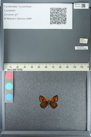 Media type: image;   Entomology 183479